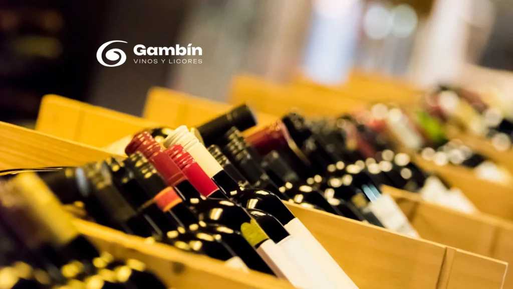 Caso de Éxito GAMBÍN